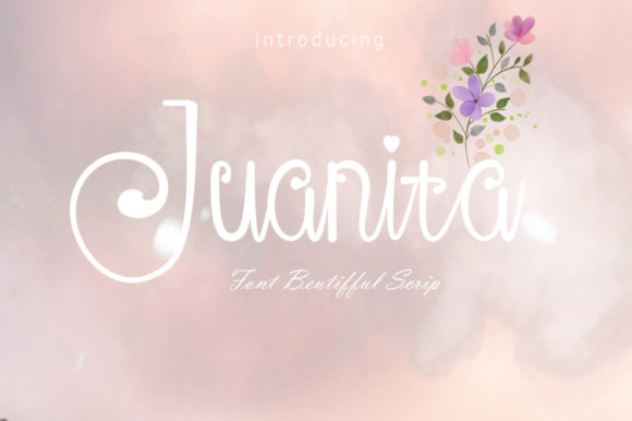 Juanita Script Font Review for Branding Projects