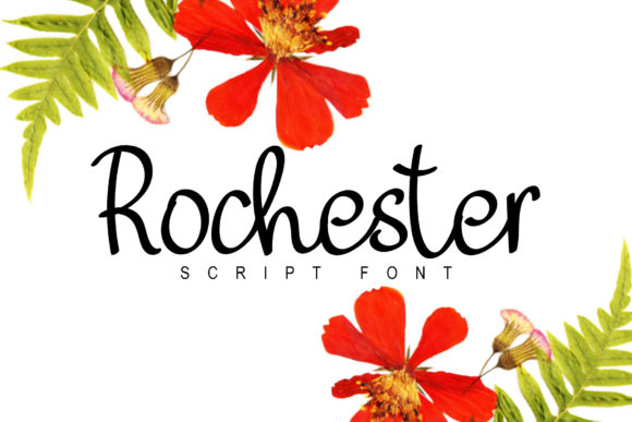 Rochester Script Font for Branding and Design
