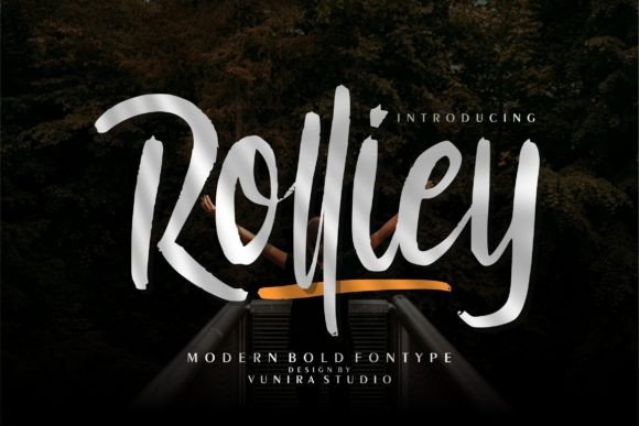 Rolliey: The Handwritten Font That Elevates Your Campaigns